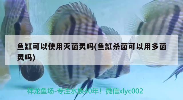 魚缸可以使用滅菌靈嗎(魚缸殺菌可以用多菌靈嗎)