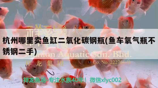 杭州哪里賣魚缸二氧化碳鋼瓶(魚車氧氣瓶不銹鋼二手) 二氧化碳設(shè)備