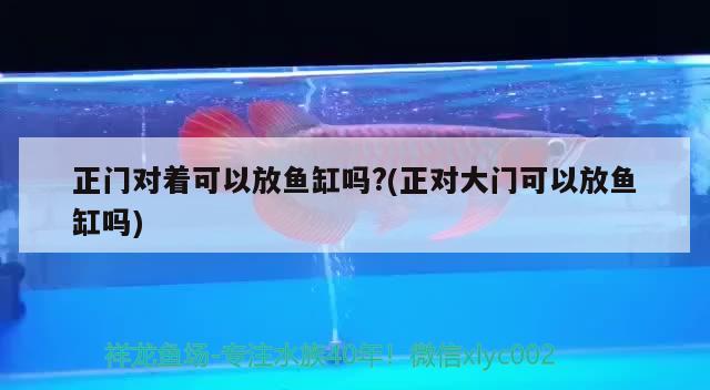 正門對著可以放魚缸嗎?(正對大門可以放魚缸嗎)