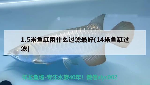 1.5米魚(yú)缸用什么過(guò)濾最好(14米魚(yú)缸過(guò)濾)