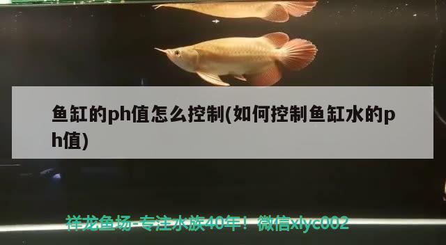 魚缸的ph值怎么控制(如何控制魚缸水的ph值) 印尼三紋虎