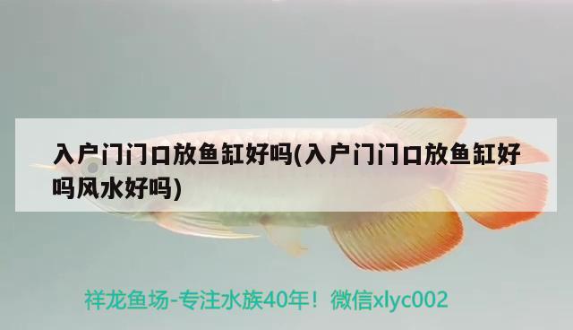 入戶門門口放魚缸好嗎(入戶門門口放魚缸好嗎風(fēng)水好嗎) 魚缸風(fēng)水