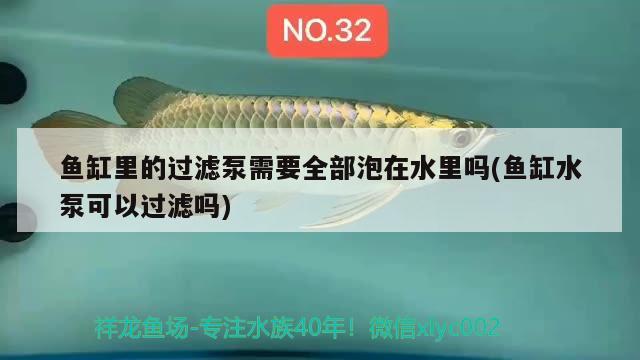 魚(yú)缸里的過(guò)濾泵需要全部泡在水里嗎(魚(yú)缸水泵可以過(guò)濾嗎) 魚(yú)缸水泵