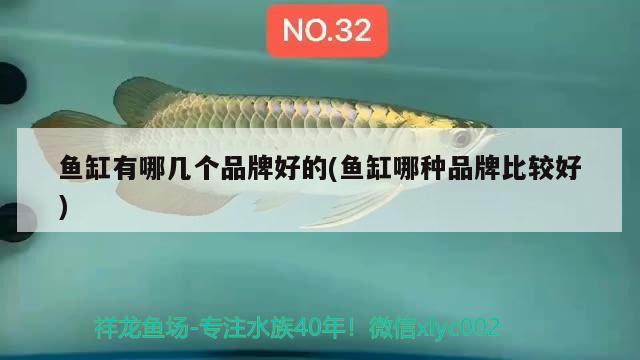 魚缸有哪幾個品牌好的(魚缸哪種品牌比較好)