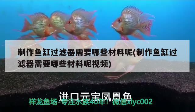 制作魚(yú)缸過(guò)濾器需要哪些材料呢(制作魚(yú)缸過(guò)濾器需要哪些材料呢視頻) 造景/裝飾