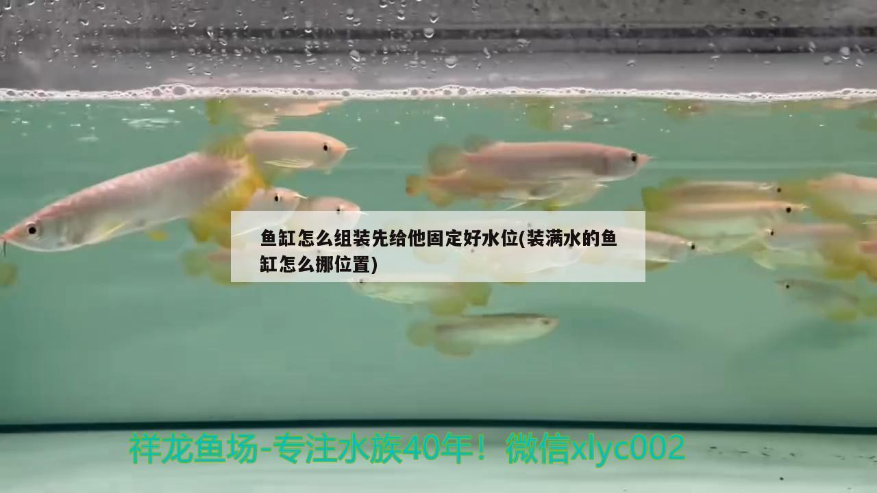 魚缸怎么組裝先給他固定好水位(裝滿水的魚缸怎么挪位置) 錦鯉池魚池建設