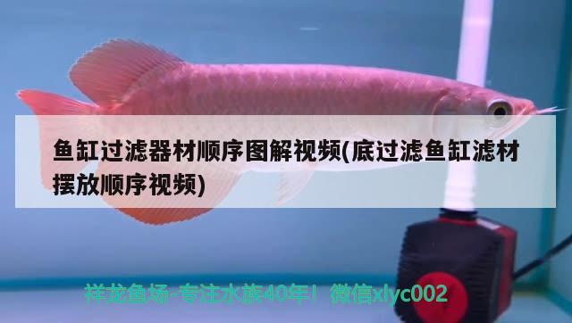 魚缸過濾器材順序圖解視頻(底過濾魚缸濾材擺放順序視頻) 水族維護服務（上門）