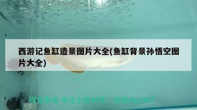 西游記魚缸造景圖片大全(魚缸背景孫悟空圖片大全) 錦鯉魚