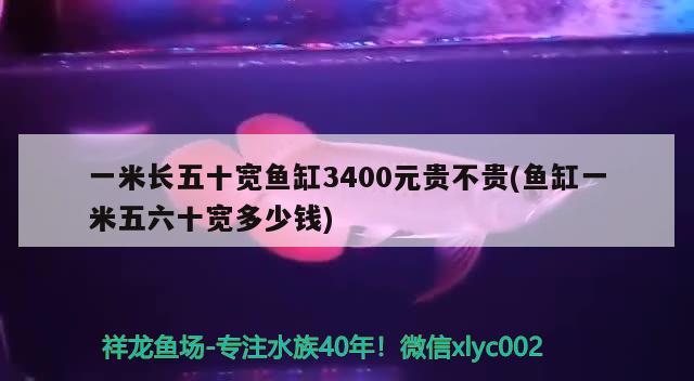 一米長(zhǎng)五十寬魚(yú)缸3400元貴不貴(魚(yú)缸一米五六十寬多少錢(qián))