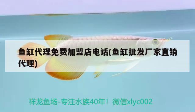 魚(yú)缸代理免費(fèi)加盟店電話(魚(yú)缸批發(fā)廠家直銷(xiāo)代理) 廣州祥龍國(guó)際水族貿(mào)易