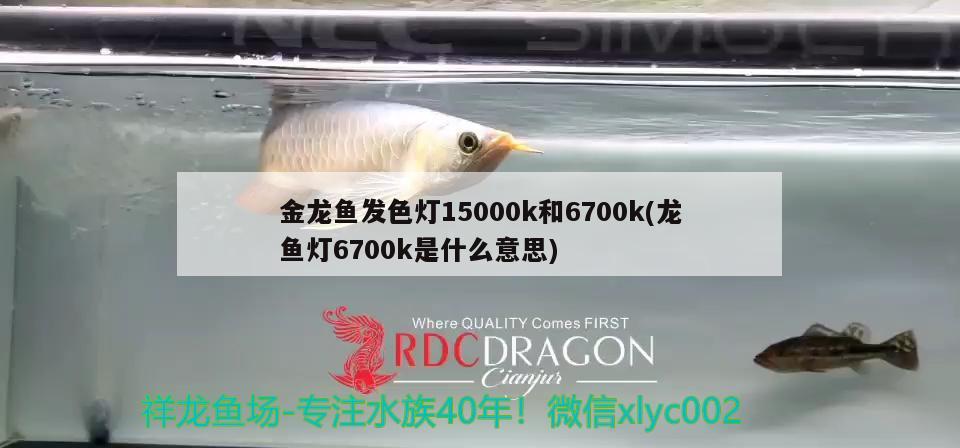 金龍魚(yú)發(fā)色燈15000k和6700k(龍魚(yú)燈6700k是什么意思)