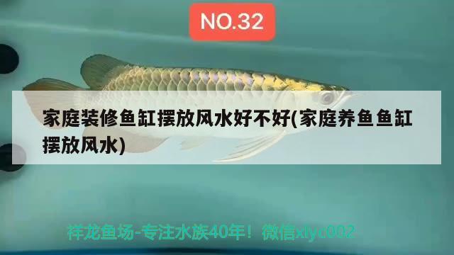 家庭裝修魚缸擺放風水好不好(家庭養(yǎng)魚魚缸擺放風水)