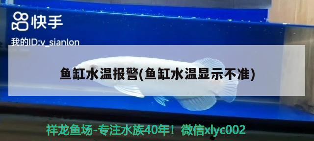 魚缸水溫報警(魚缸水溫顯示不準(zhǔn))