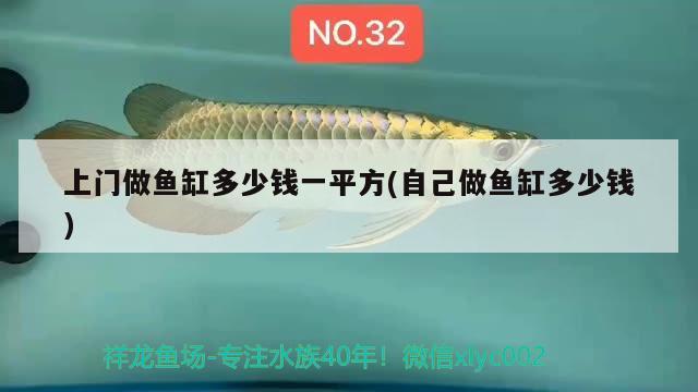 上門(mén)做魚(yú)缸多少錢(qián)一平方(自己做魚(yú)缸多少錢(qián)) 檸檬鯽