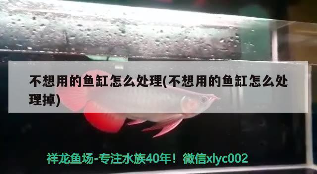 不想用的魚缸怎么處理(不想用的魚缸怎么處理掉)