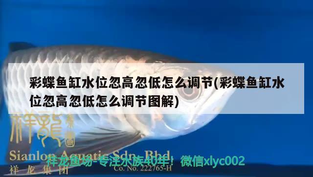 彩蝶魚缸水位忽高忽低怎么調(diào)節(jié)(彩蝶魚缸水位忽高忽低怎么調(diào)節(jié)圖解)