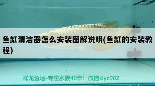 魚缸清潔器怎么安裝圖解說明(魚缸的安裝教程)