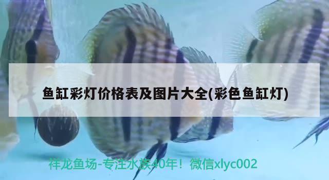 魚缸彩燈價格表及圖片大全(彩色魚缸燈)