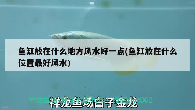 魚缸放在什么地方風(fēng)水好一點(diǎn)(魚缸放在什么位置最好風(fēng)水) 魚缸風(fēng)水