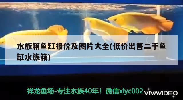 水族箱魚缸報價及圖片大全(低價出售二手魚缸水族箱) 魚缸/水族箱