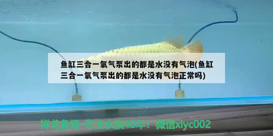 魚缸三合一氧氣泵出的都是水沒有氣泡(魚缸三合一氧氣泵出的都是水沒有氣泡正常嗎) 廣州水族器材濾材批發(fā)市場