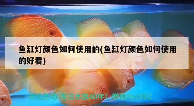 魚缸燈顏色如何使用的(魚缸燈顏色如何使用的好看) 魚缸凈水劑