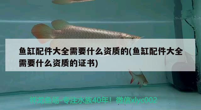 魚缸配件大全需要什么資質(zhì)的(魚缸配件大全需要什么資質(zhì)的證書)