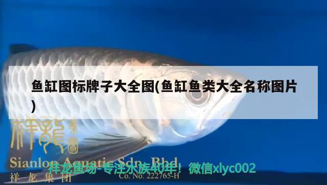 魚缸圖標(biāo)牌子大全圖(魚缸魚類大全名稱圖片)