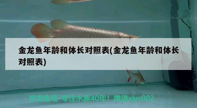 金龍魚年齡和體長對照表(金龍魚年齡和體長對照表) 過濾設(shè)備