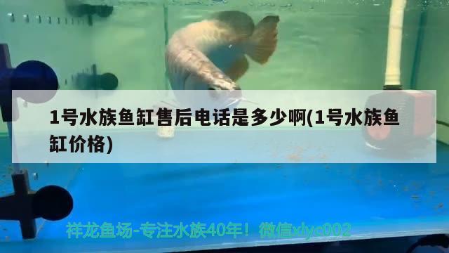 1號水族魚缸售后電話是多少啊(1號水族魚缸價格) 廣州水族器材濾材批發(fā)市場