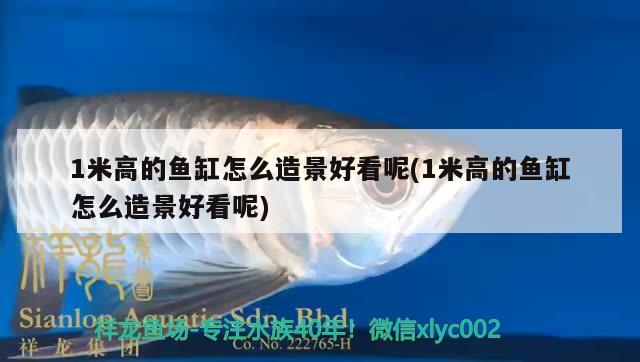 1米高的魚(yú)缸怎么造景好看呢(1米高的魚(yú)缸怎么造景好看呢) 造景/裝飾