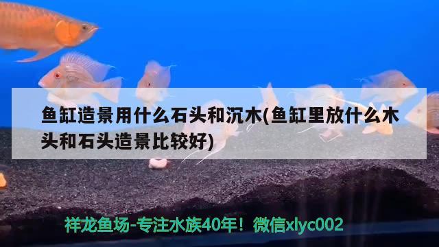 魚缸造景用什么石頭和沉木(魚缸里放什么木頭和石頭造景比較好) 潛水艇魚