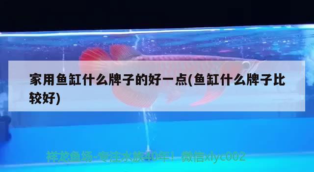 家用魚(yú)缸什么牌子的好一點(diǎn)(魚(yú)缸什么牌子比較好) 紅眼黃化幽靈火箭魚(yú)|皇家火箭魚(yú)