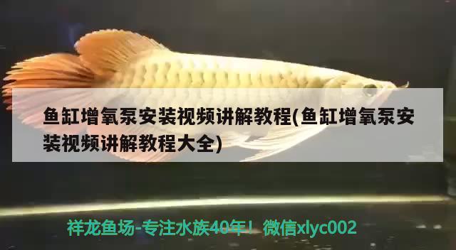 魚缸增氧泵安裝視頻講解教程(魚缸增氧泵安裝視頻講解教程大全) 觀賞魚魚苗