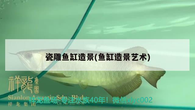 瓷雕魚缸造景(魚缸造景藝術(shù)) 赤焰中國虎魚