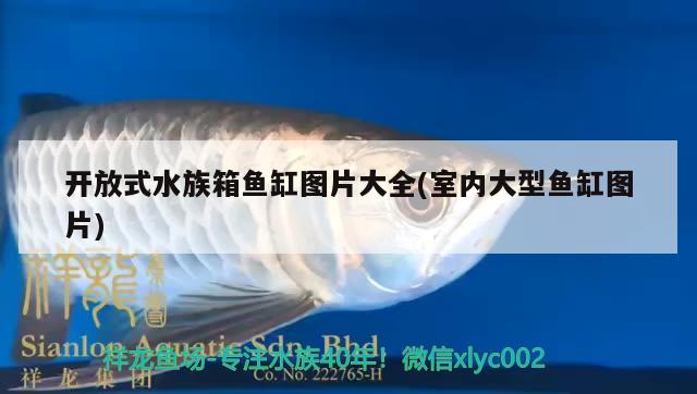 開放式水族箱魚缸圖片大全(室內(nèi)大型魚缸圖片) 魚缸/水族箱