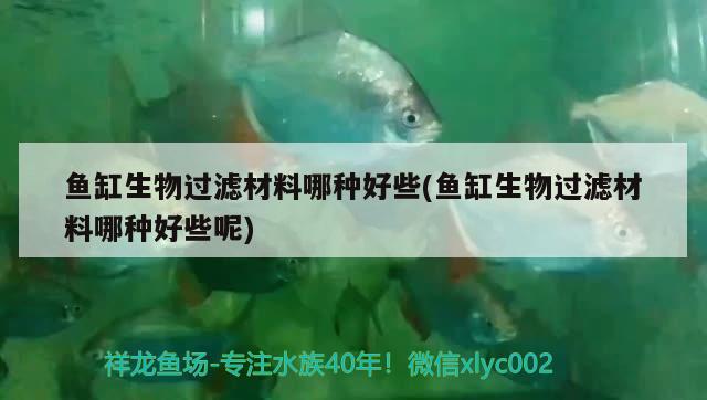 魚缸生物過濾材料哪種好些(魚缸生物過濾材料哪種好些呢)