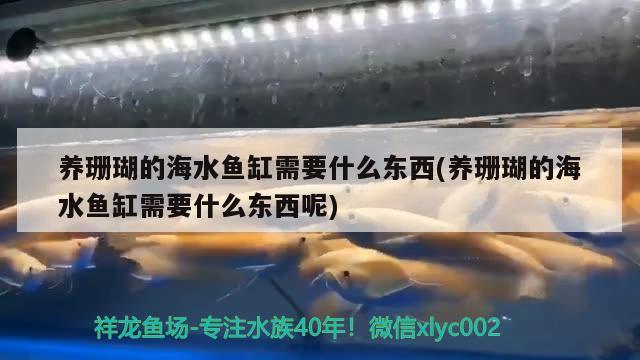 養(yǎng)珊瑚的海水魚缸需要什么東西(養(yǎng)珊瑚的海水魚缸需要什么東西呢) 海水魚