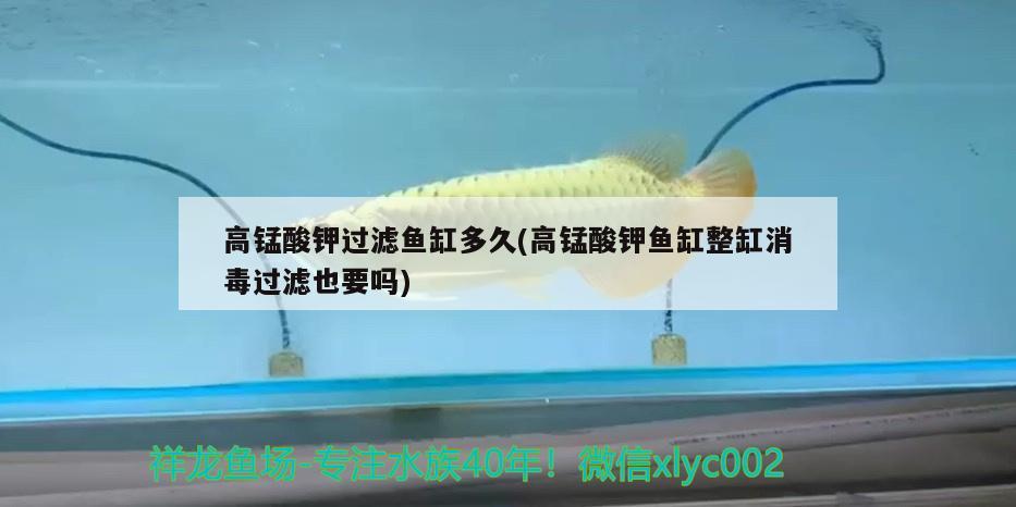 高錳酸鉀過濾魚缸多久(高錳酸鉀魚缸整缸消毒過濾也要嗎)