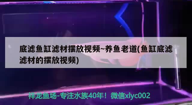 底濾魚缸濾材擺放視頻~養(yǎng)魚老道(魚缸底濾濾材的擺放視頻)