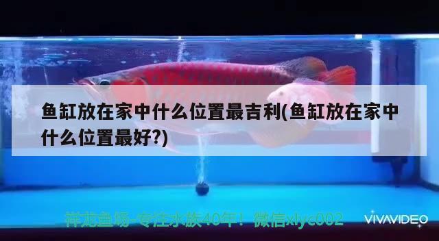 魚(yú)缸放在家中什么位置最吉利(魚(yú)缸放在家中什么位置最好?) 殺菌消毒設(shè)備