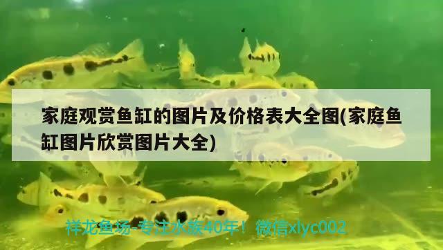 家庭觀賞魚缸的圖片及價格表大全圖(家庭魚缸圖片欣賞圖片大全) 觀賞魚百科