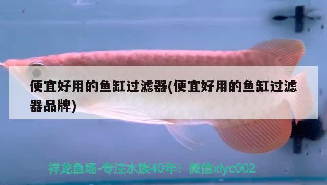 便宜好用的魚(yú)缸過(guò)濾器(便宜好用的魚(yú)缸過(guò)濾器品牌) 雙線側(cè)魚(yú)