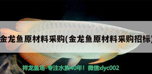 金龍魚原材料采購(金龍魚原材料采購招標) 魚缸百科