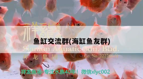 魚缸交流群(海缸魚友群) 狗仔招財(cái)貓魚