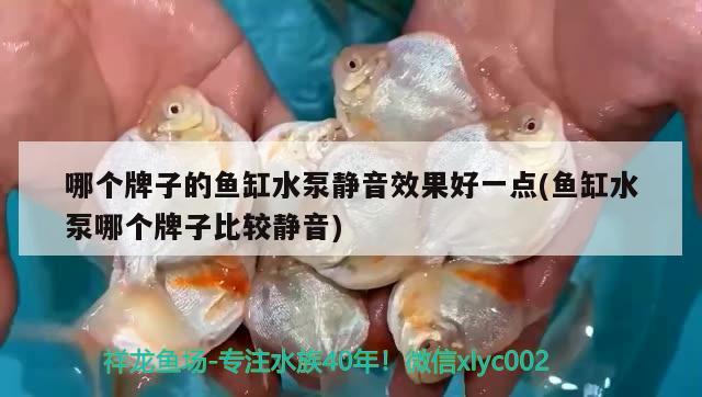 哪個(gè)牌子的魚(yú)缸水泵靜音效果好一點(diǎn)(魚(yú)缸水泵哪個(gè)牌子比較靜音) 魚(yú)缸水泵 第2張