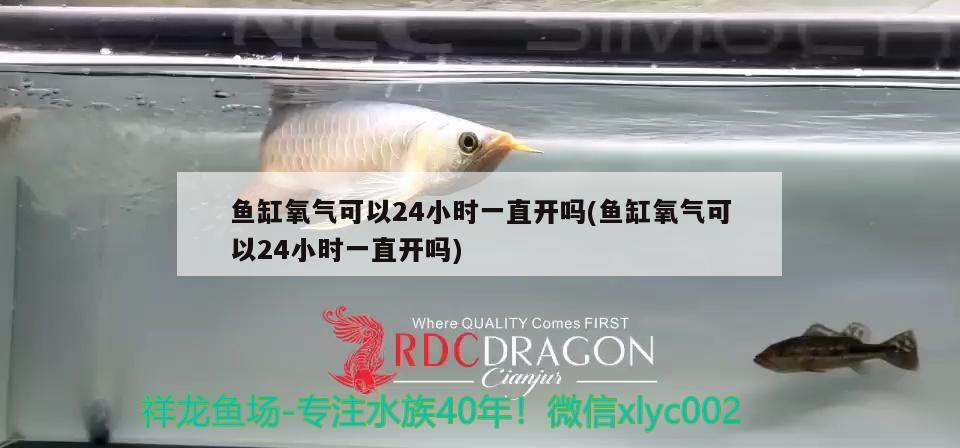 魚缸氧氣可以24小時(shí)一直開嗎(魚缸氧氣可以24小時(shí)一直開嗎) 定時(shí)器/自控系統(tǒng)