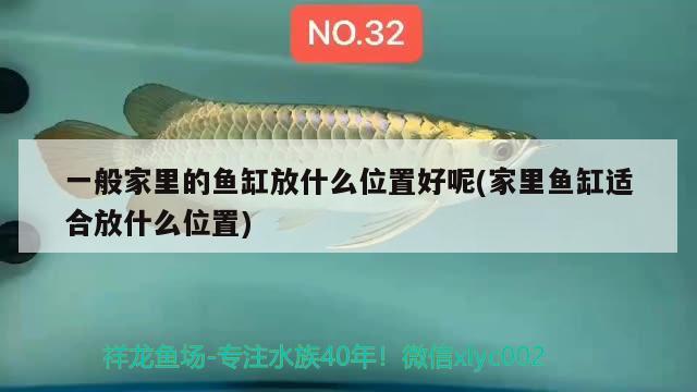 一般家里的魚(yú)缸放什么位置好呢(家里魚(yú)缸適合放什么位置)