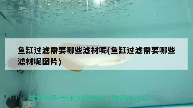 魚(yú)缸過(guò)濾需要哪些濾材呢(魚(yú)缸過(guò)濾需要哪些濾材呢圖片)