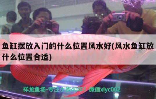 魚缸擺放入門的什么位置風水好(風水魚缸放什么位置合適) 魚缸風水